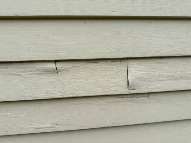 Best Stone Veneer Siding  in Royersford, PA